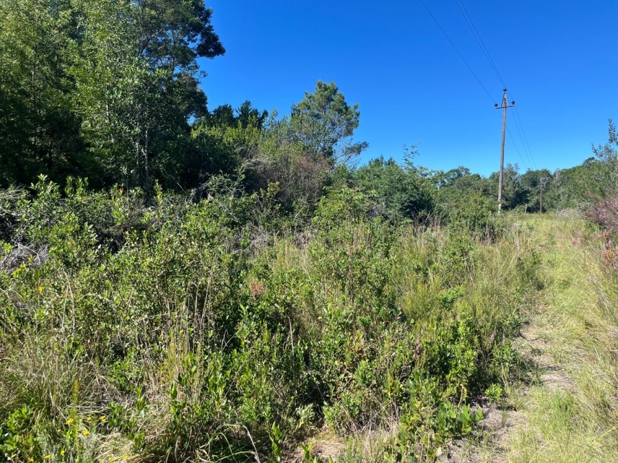 0 Bedroom Property for Sale in The Crags Western Cape